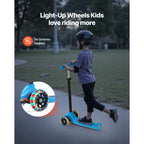 522806011